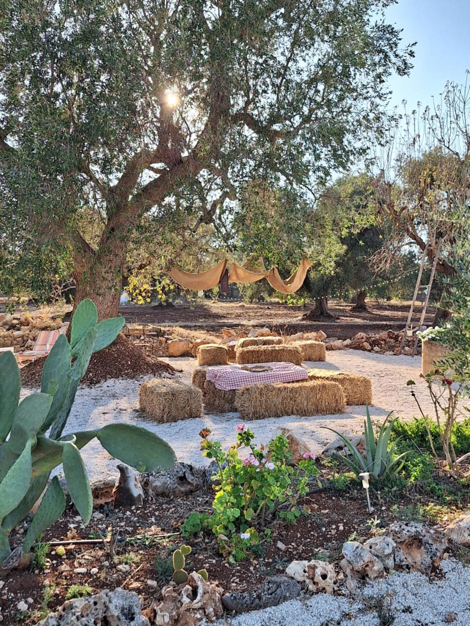 Residenza Anima Mediterranea Francavilla Fontana Eksteriør billede