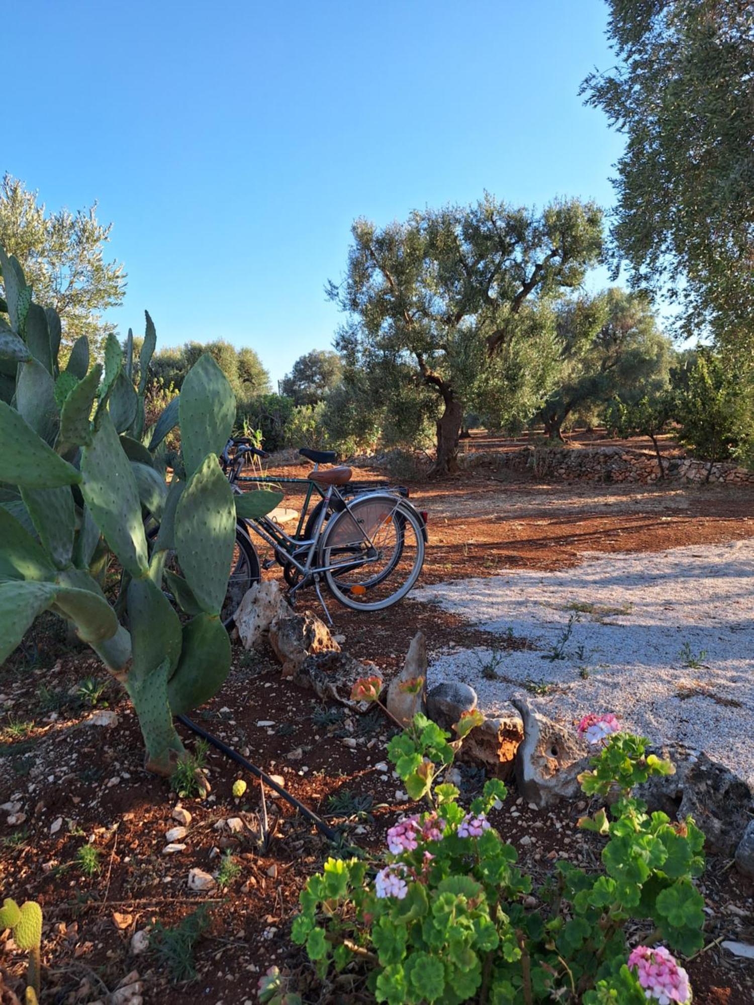 Residenza Anima Mediterranea Francavilla Fontana Eksteriør billede