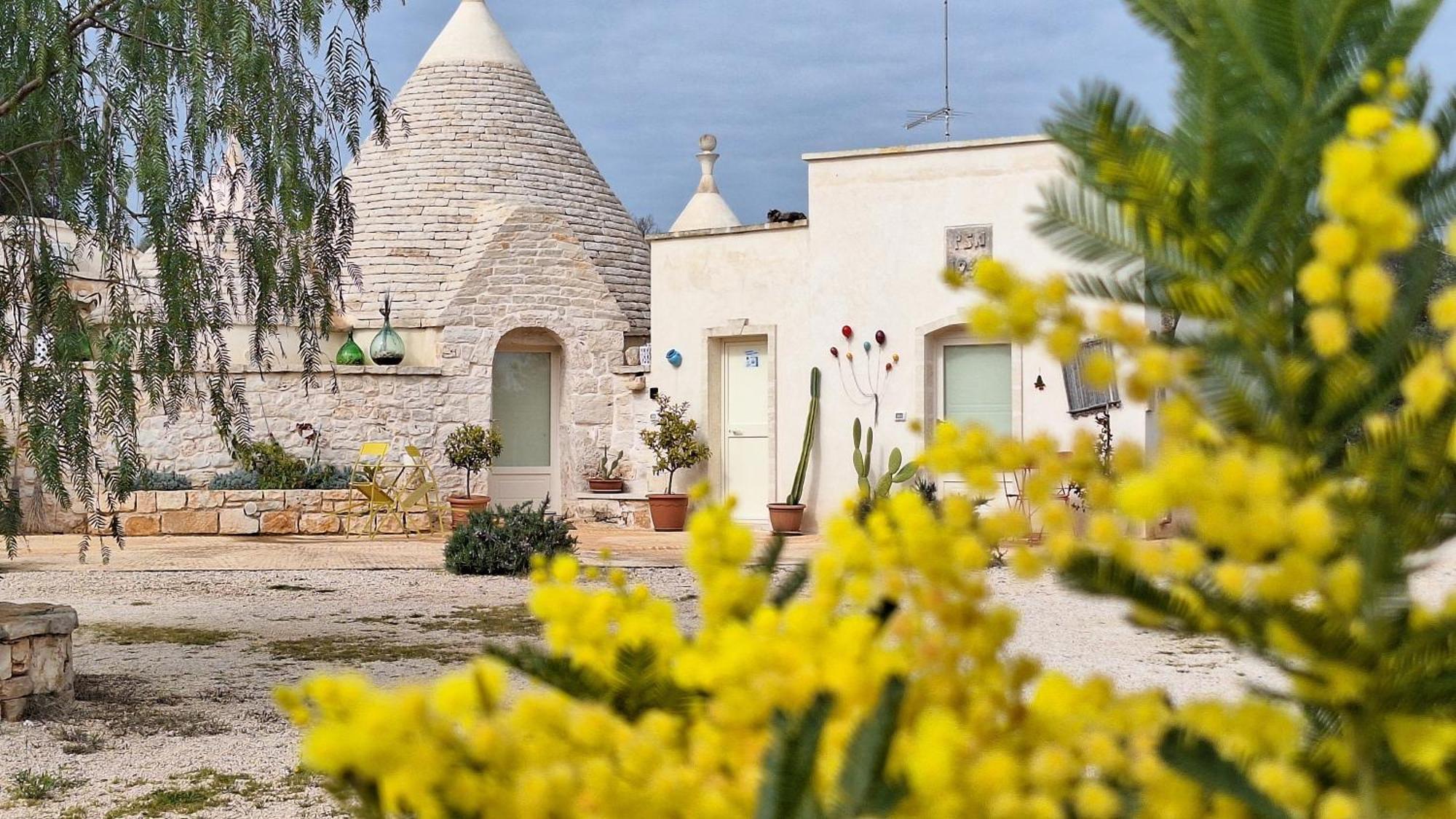 Residenza Anima Mediterranea Francavilla Fontana Eksteriør billede